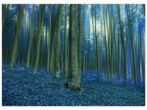 Kép - Kék erdő (70x50 cm)