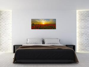 Egy kép a pipacs mezőről (120x50 cm)