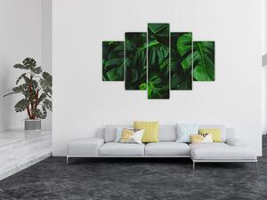 Monstery levelek képe (150x105 cm)