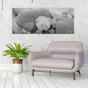 Kép - Jegesmedvék, fekete-fehér (120x50 cm)
