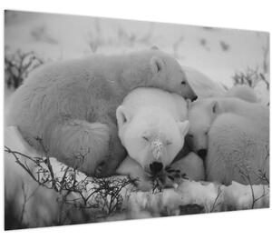 Kép - Jegesmedvék, fekete-fehér (90x60 cm)
