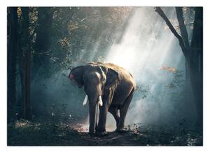 Elefánt a dzsungelben képe (70x50 cm)