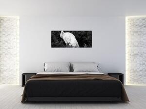 Kép - Páva, fekete-fehér (120x50 cm)