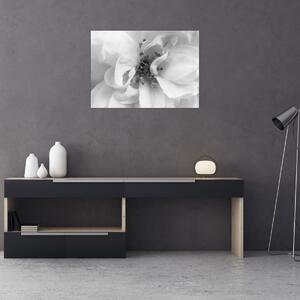 Kép - Virág, fekete-fehér (70x50 cm)
