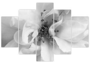 Kép - Virág, fekete-fehér (150x105 cm)
