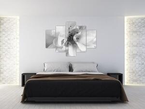 Kép - Virág, fekete-fehér (150x105 cm)