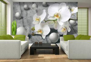 Fotótapéta - Fehér orchidea (152,5x104 cm)