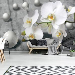 Fotótapéta - Fehér orchidea (152,5x104 cm)