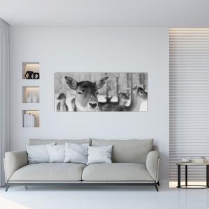 Kép - Szarvas, fekete, fehér (120x50 cm)
