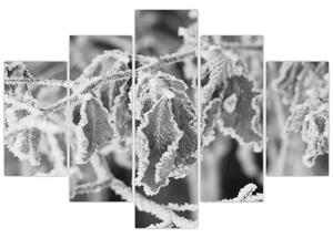 Kép - Fagyott levelek, fekete-fehér (150x105 cm)