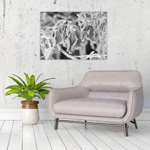 Kép - Fagyott levelek, fekete-fehér (70x50 cm)