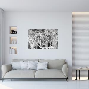 Kép - Fagyott levelek, fekete-fehér (90x60 cm)