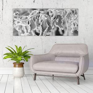 Kép - Fagyott levelek, fekete-fehér (120x50 cm)