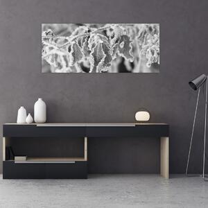 Kép - Fagyott levelek, fekete-fehér (120x50 cm)
