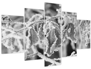 Kép - Fagyott levelek, fekete-fehér (150x105 cm)