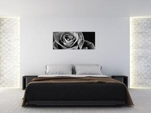 Kép - Rózsa, fekete-fehér (120x50 cm)
