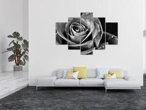 Kép - Rózsa, fekete-fehér (150x105 cm)