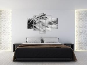 Kép - Makró, fekete-fehér (150x105 cm)