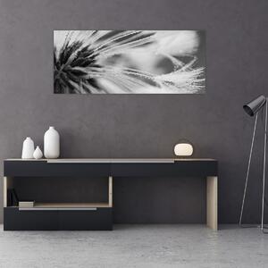Kép - Makró, fekete-fehér (120x50 cm)