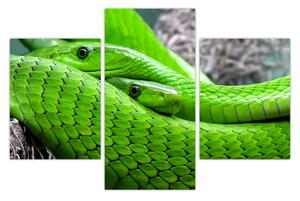 Zöld kígyók képe (90x60 cm)