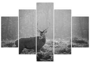 Kép - Szarvas az erdőben, fekete-fehér (150x105 cm)