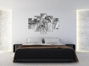 Kép - Lipnica, fekete-fehér (150x105 cm)