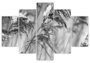 Kép - Lipnica, fekete-fehér (150x105 cm)