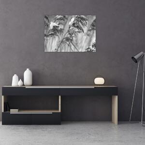 Kép - Lipnica, fekete-fehér (70x50 cm)