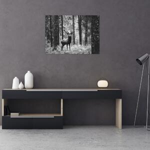 Kép - Szarvas az erdőben 2, fekete-fehér (70x50 cm)