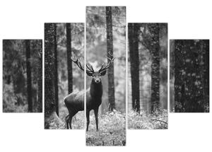 Kép - Szarvas az erdőben 2, fekete-fehér (150x105 cm)