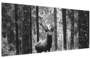 Kép - Szarvas az erdőben 2, fekete-fehér (120x50 cm)