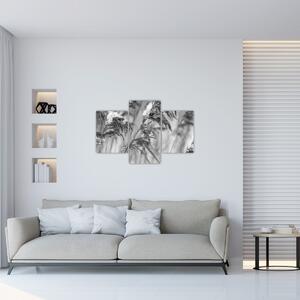 Kép - Lipnica, fekete-fehér (90x60 cm)