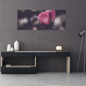 Kép - Rózsa virág részlete (120x50 cm)