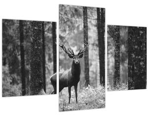 Kép - Szarvas az erdőben 2, fekete-fehér (90x60 cm)
