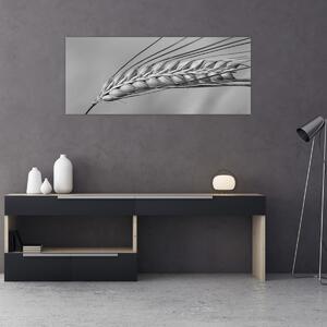 Kép - Búza, fekete-fehér (120x50 cm)