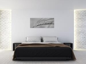 Kép - Búza, fekete-fehér (120x50 cm)