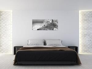 Kép - Farkas, fekete-fehér (120x50 cm)