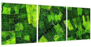 Kép - A lap részlete (órával) (90x30 cm)