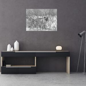 Kép - Róka, fekete, fehér (70x50 cm)