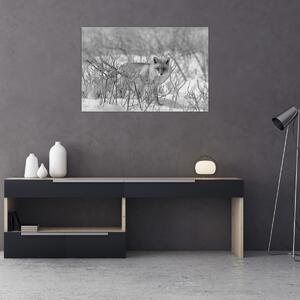 Kép - Róka, fekete, fehér (90x60 cm)