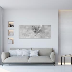 Kép - Bagoly, fekete-fehér (120x50 cm)