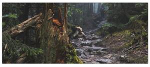 Kép - Az erdőben (120x50 cm)