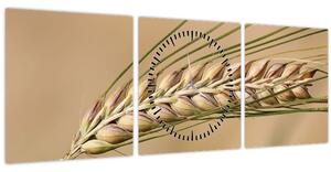 Kép - Búza (órával) (90x30 cm)