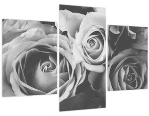 Kép - Rózsa, fekete-fehér (90x60 cm)