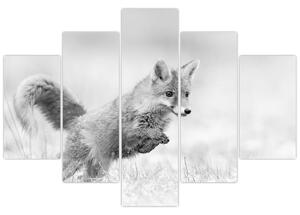 Kép - Ugró róka, fekete-fehér (150x105 cm)
