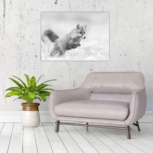 Kép - Ugró róka, fekete-fehér (70x50 cm)