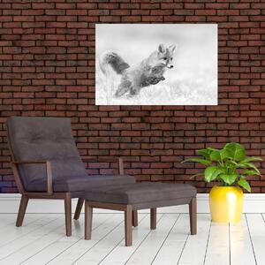 Kép - Ugró róka, fekete-fehér (90x60 cm)