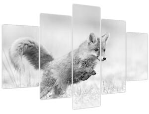 Kép - Ugró róka, fekete-fehér (150x105 cm)
