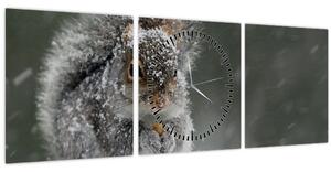 Kép - Mókus télen (órával) (90x30 cm)
