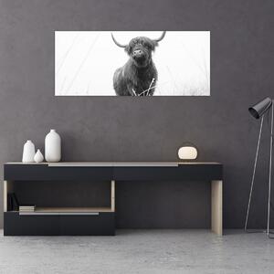 Kép - Skót tehén 4, fekete-fehér (120x50 cm)